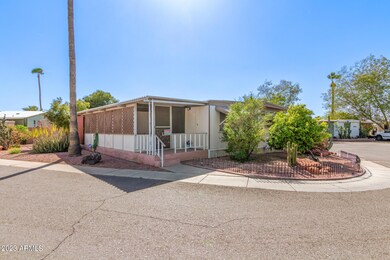 0003-03 - Camelback