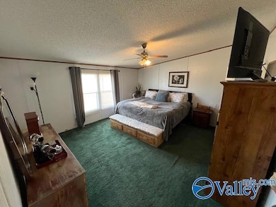 1166 County Road 160, Crossville, AL 35962 - photo 7