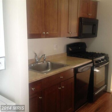 11224 Chestnut Grv Square unit 325, Reston, VA 20190 - photo 4