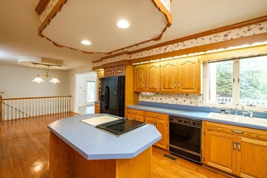 1065 Tulip Terrace, Harrisonburg, VA 22801 - photo 6