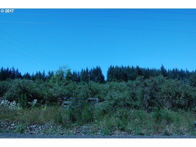 0 Mountain Springs Dr, Sheridan, OR 97378 - photo 6