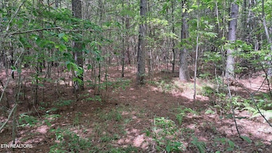 Lot 21 Airport Rd (Pca), Rockwood, TN 37854 - photo 2