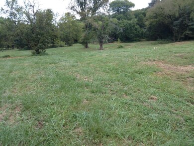 where the deer and the (ant) and wild turkey play