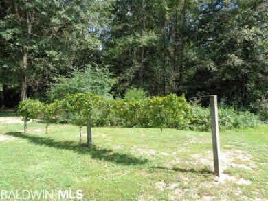 923 Martinville Loop, Atmore, AL 36502 - photo 4