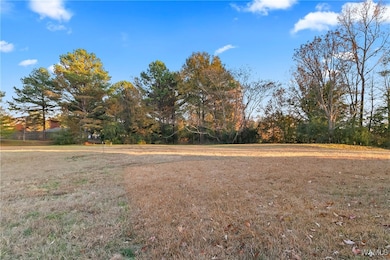 14198 Dairy Barn Rd, Cottondale, AL 35453 - photo 4