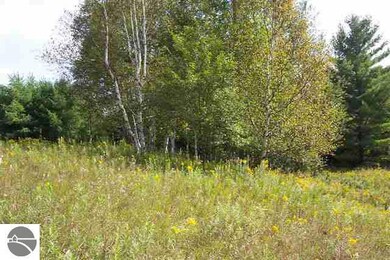 0 Valley Rd, West Branch, MI 48661 - photo 7