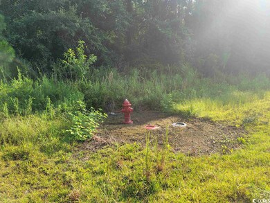 municipal water and fire hydrant across Powell Lan