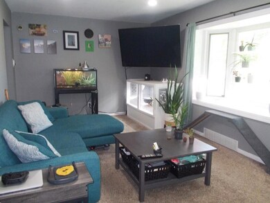 7435 Ann Arbor St, Dexter, MI 48130 - photo 3