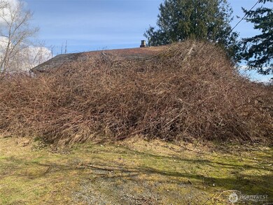 9924 Markworth Rd, Lynden, WA 98264 - photo 5