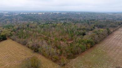 000 County Road 3272, Frankston, TX 75763 - photo 2