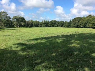 4837 Quail Tower Rd, Luverne, AL 36049 - photo 3