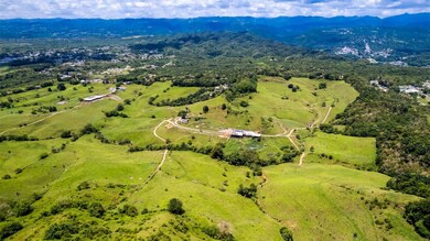 Km 1.6 633, Morovis, PR 00687 - photo 6