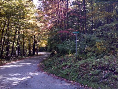 87 Ross Rd, Readsboro, VT 05350 - photo 3