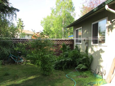 Back yard - 1