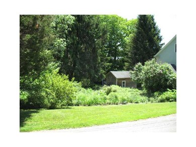 Yard/Garden.