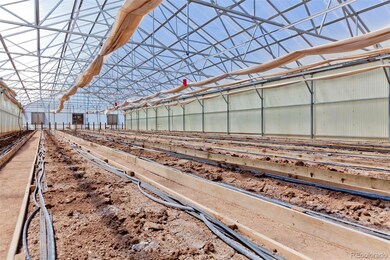 3281 C Rd, Palisade, CO 81526 - photo 4