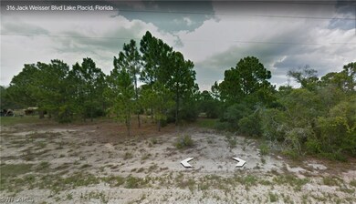 316 Jack Weisser Blvd, Lake Placid, FL 33852 - photo 3