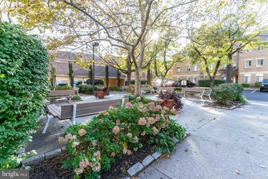 116 W Barre St, Baltimore, MD 21201 - photo 4