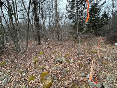 56 B June Dr, Tobyhanna, PA 18466 - photo 7