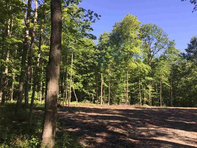 7057 E Tanglewood Rd-92 unit 2, Roanoke, IN 46783 - photo 3