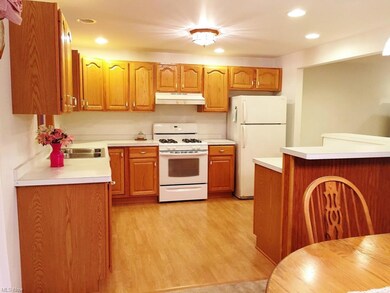 135 S Elm St, Jefferson, OH 44047 - photo 7