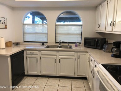 Kitchen view 1