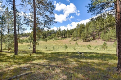 27.5 Acres Jemez Mountain Forest Rd 10, Jemez Springs, NM 87025 - photo 3