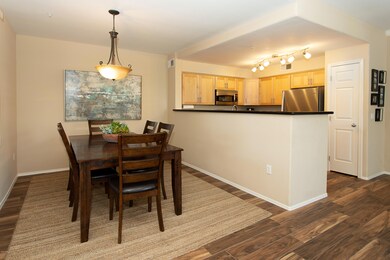Edge #1104 DINING