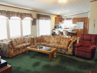 0 Montezuma Rd unit 725736, Fort  Garland, CO 81133 - photo 5