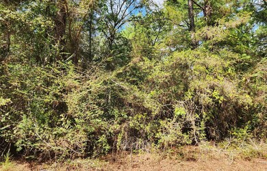 0 Broken Arrow Cir unit 63772753, Hempstead, TX 77445 - photo 6