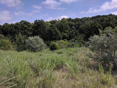 IMG_20180719_111055