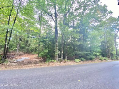 Lot 1 Gailey Hill Rd, Lake Luzerne, NY 12846 - photo 4