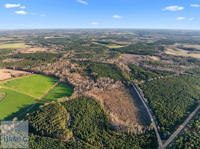 0 Thomas Rd unit 163843, Millen, GA 30442 - photo 3