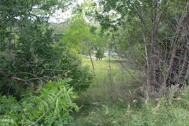 1003 3rd Ave NE, Jamestown, ND 58401 - photo 3