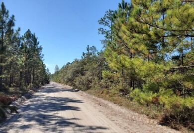 0 County Line Rd unit 19597151, Lee, FL 32059 - photo 4