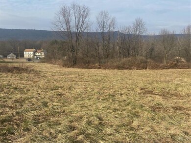 6070 Mantz Rd, Heidelberg Township, PA 18053 - photo 2