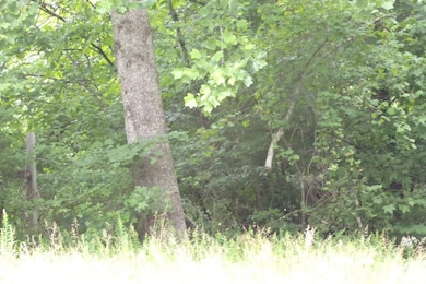 226 Sands Rd, Pulaski, TN 38478 - photo 6