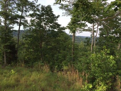 2969 Piney Grove Rd, Somerset, KY 42501 - photo 4