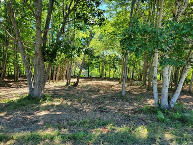 00 Mill Ln, Belfast, ME 04915 - photo 4