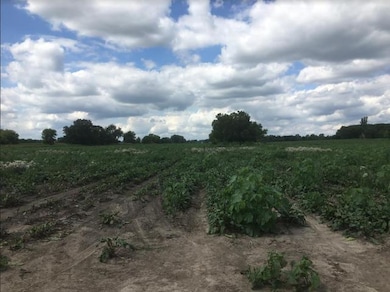 Lot 1 Koppie Rd, Gilberts, IL 60136 - photo 3