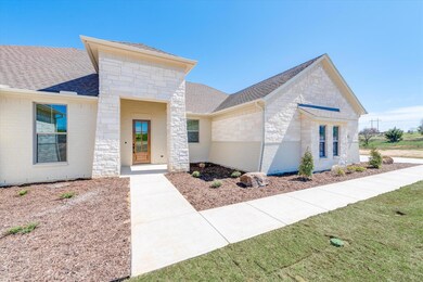 1061 Monaco Ct, Springtown, TX 76082 - photo 4