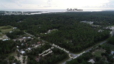 912 Bird Pond Rd, Steinhatchee, FL 32359 - photo 3