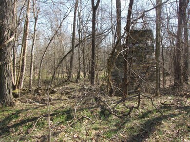 0 Holman Mill Rd unit 91539, 8, Newlin, NC 27349 - photo 7