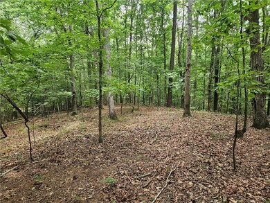 View of woods