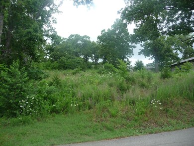 Tbd Oregon Ln, Ruth B Rural Township, MO 65686 - photo 6