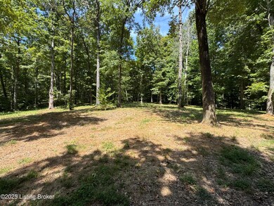 1193 Patriots Landing Ln, Falls of Rough, KY 40119 - photo 7