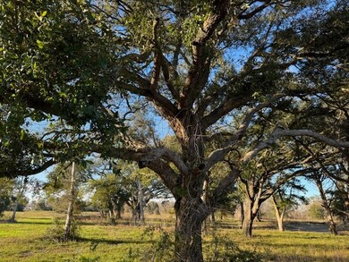 7302 Cemetary Rd, Manvel, TX 77578 - photo 2