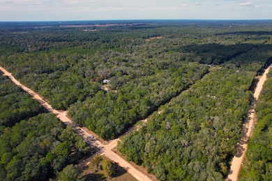 0 Brett Ave unit 25619302, Interlachen, FL 32148 - photo 7