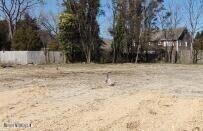 Spacious Level Lot