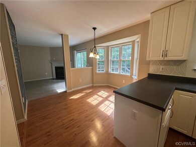 1609 Cedar Grove Terrace, Henrico, VA 23228 - photo 5